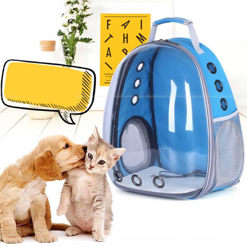 Pet Bag Apet Polyester Ryggsekk Pustende For Katt Hund Rivemotstand Pakke-sekk Vent