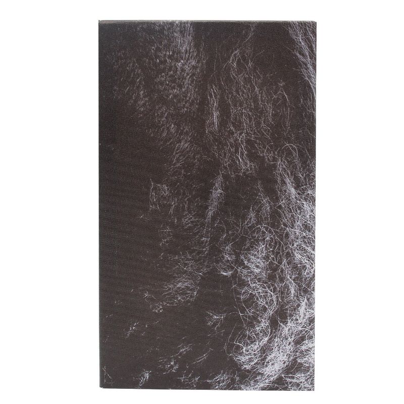 5 Stk Innrammet Lerret Roar Leo Lion King Animal Abstrakt Veggdekor