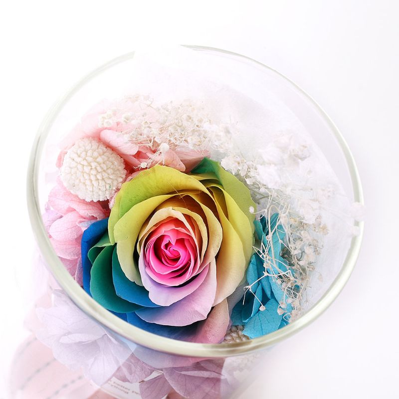 Regnbuerose Nattlys Valentinsdagsgave Romantisk Dekorasjon Lys Tørket Blomst Evig