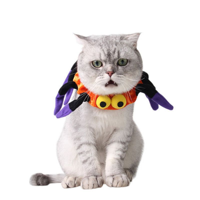 Pet Edderkopphalsbånd Hund Katt Valp Kitty Cap Halloween Rekvisita Dyrekostyme